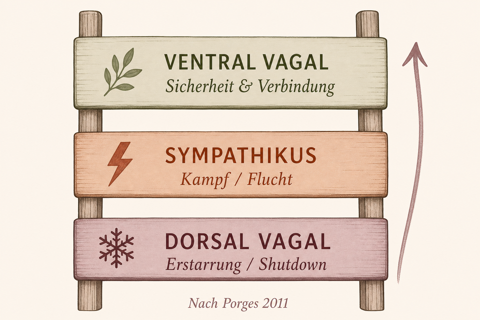 Polyvagal-Leiter: Ventral Vagal · Sympathikus · Dorsal Vagal